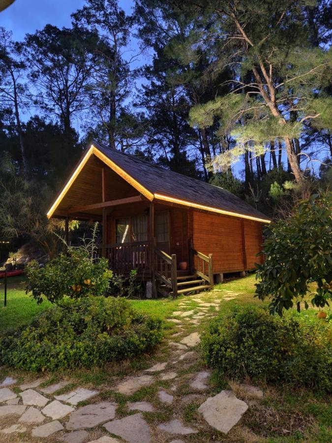 Olympos Village Relaxury Hotel 外观 照片