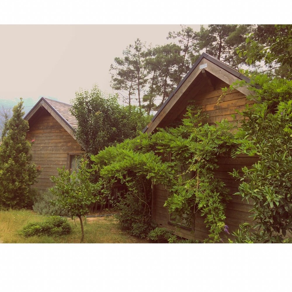 Olympos Village Relaxury Hotel 外观 照片