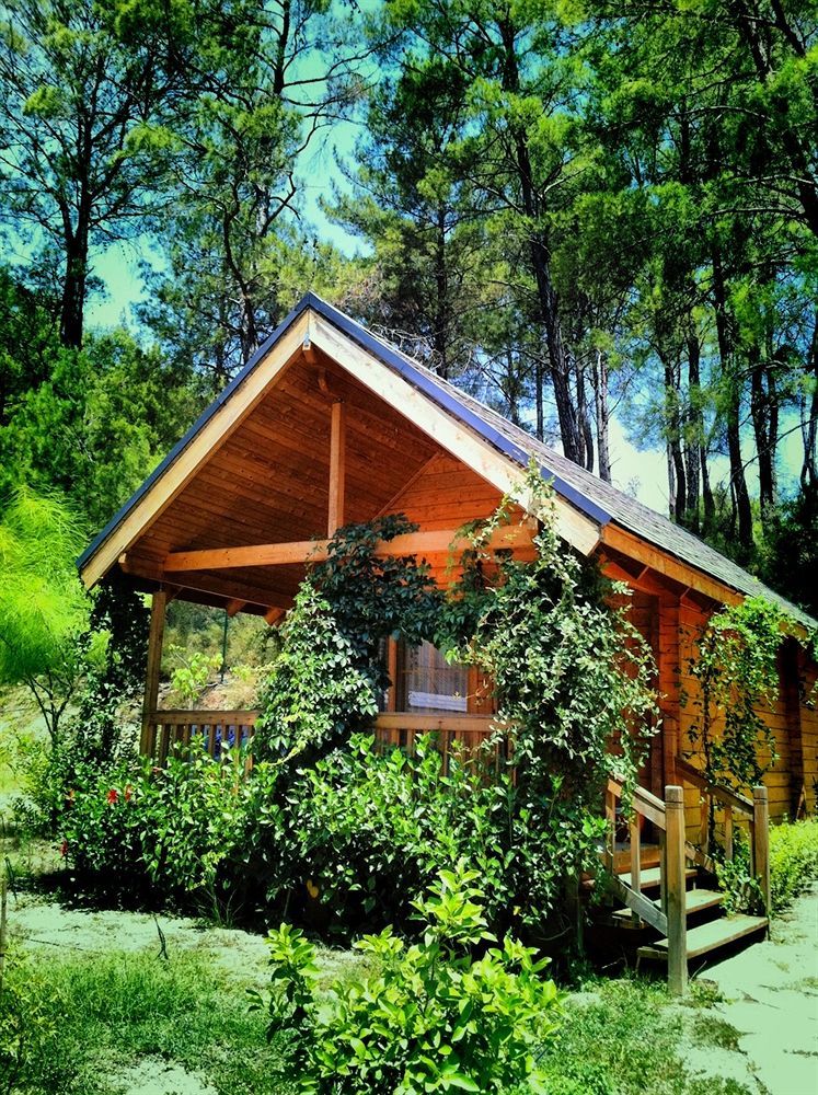 Olympos Village Relaxury Hotel 外观 照片